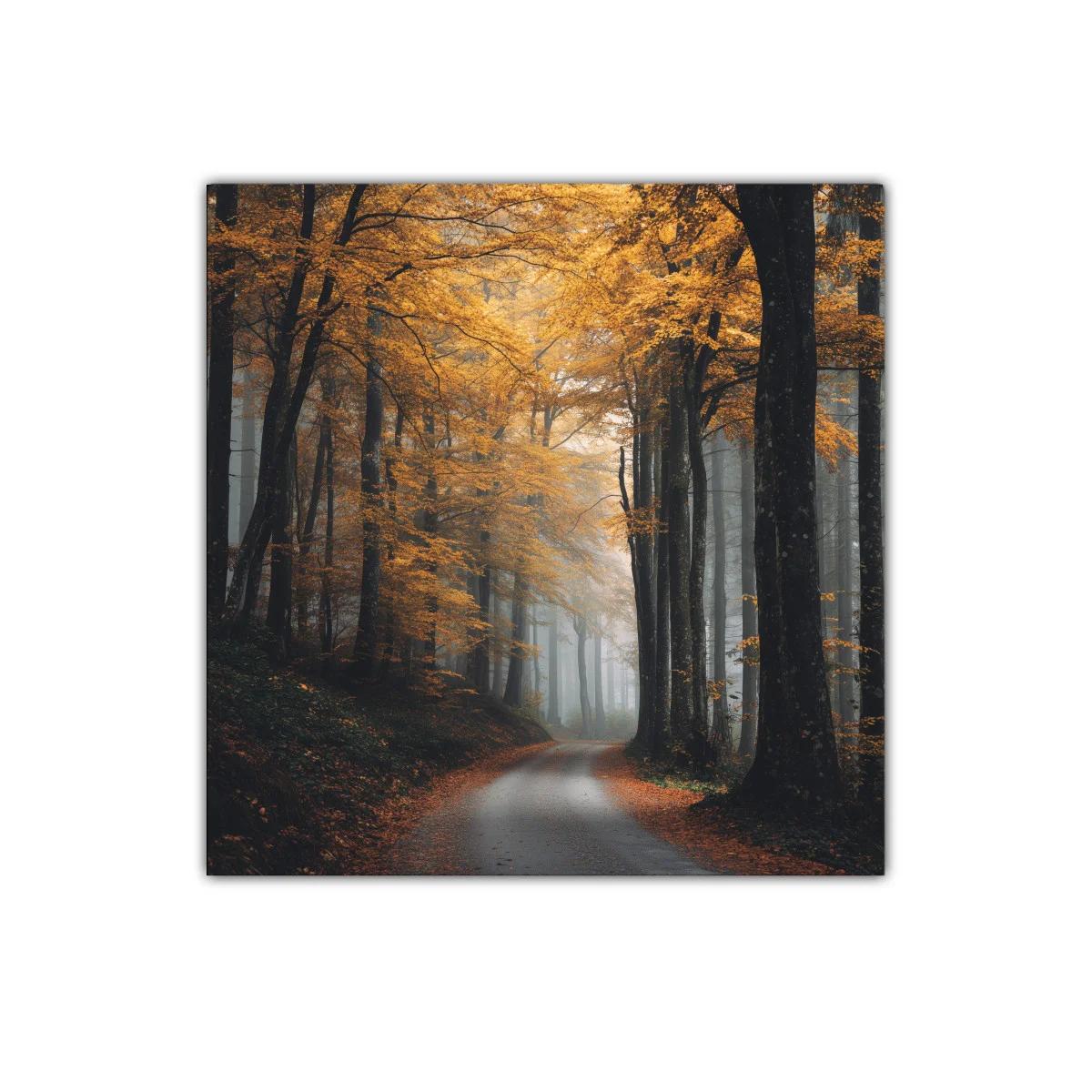 Camino entre árboles dorados en bosque otoñal brumoso — imagen principal