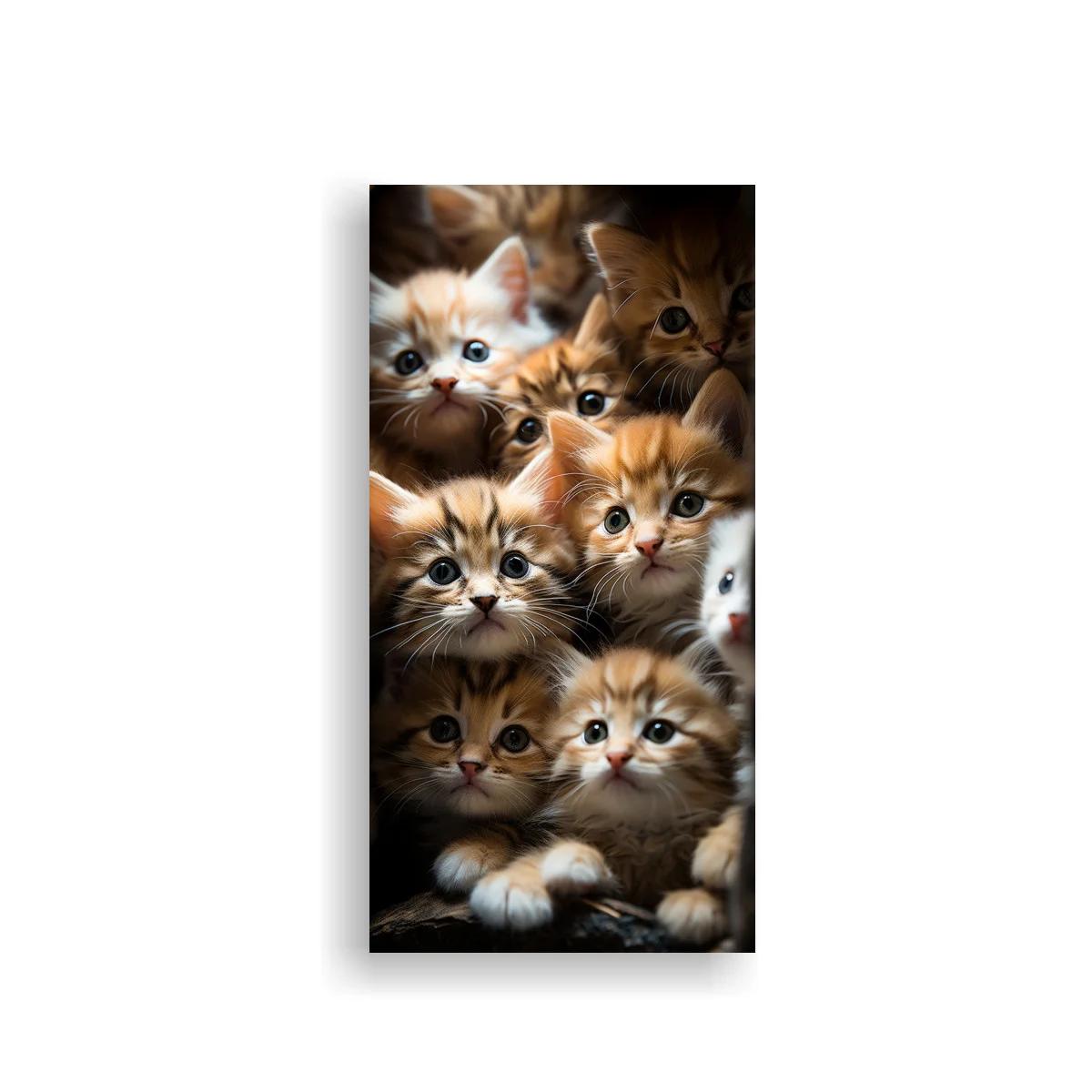 Cuadro grupo de gatitos con patitas delanteras y ojos brillantes