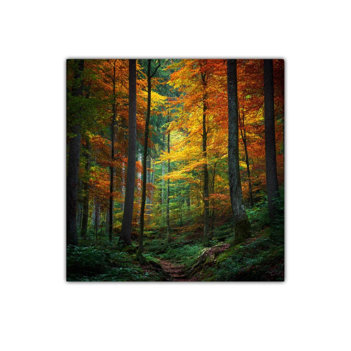 Bosque otoñal con vibrantes hojas anaranjadas y verdes — imagen principal