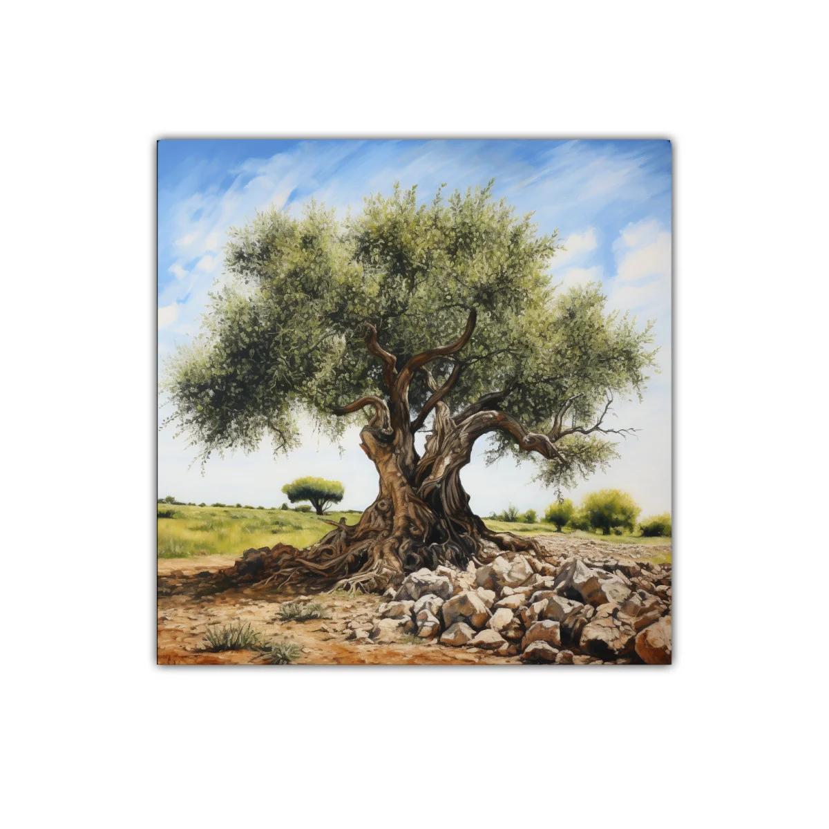 Serenidad de un olivo centenario en campo soleado — imagen principal