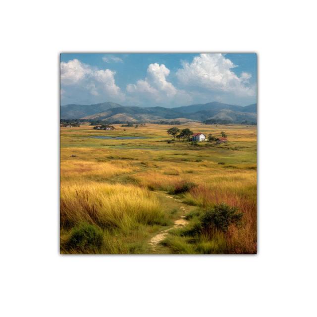 Paisaje campestre con praderas y cielos azules