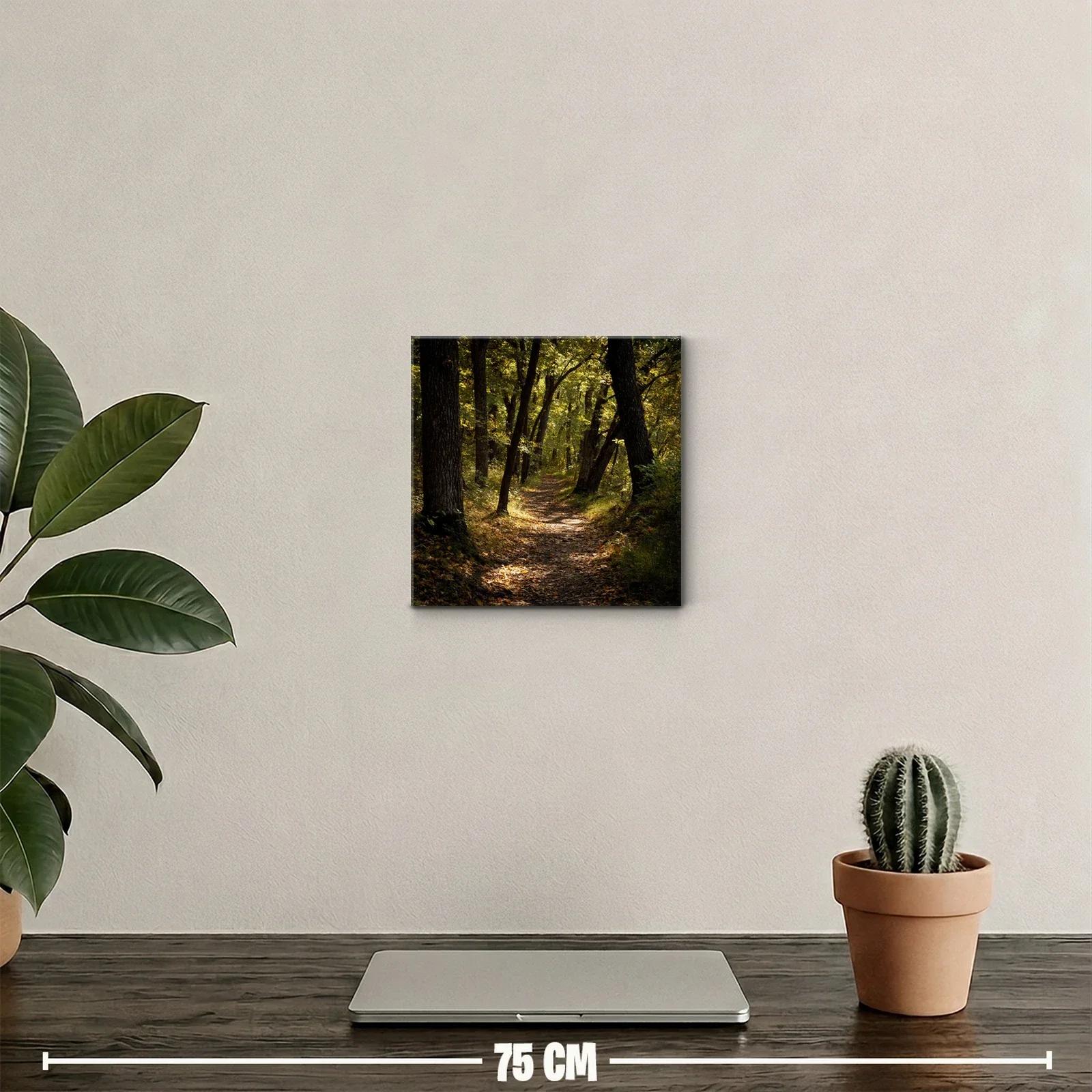 Camino Serene entre Árboles en Luz Dorada — miniatura 2