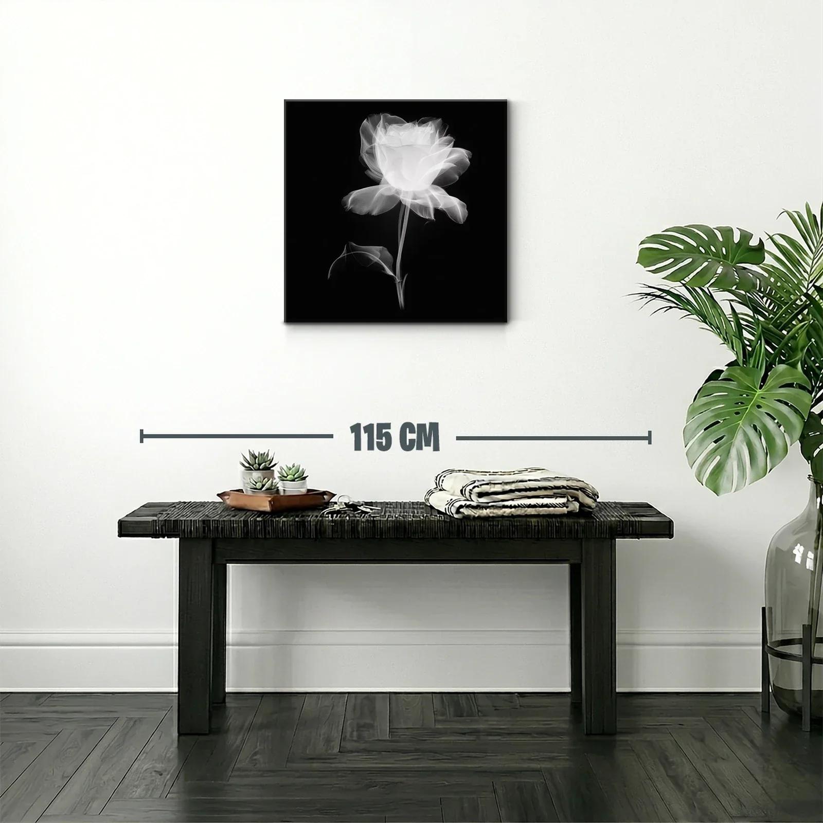 Rosa blanca etérea sobre fondo oscuro — miniatura 2