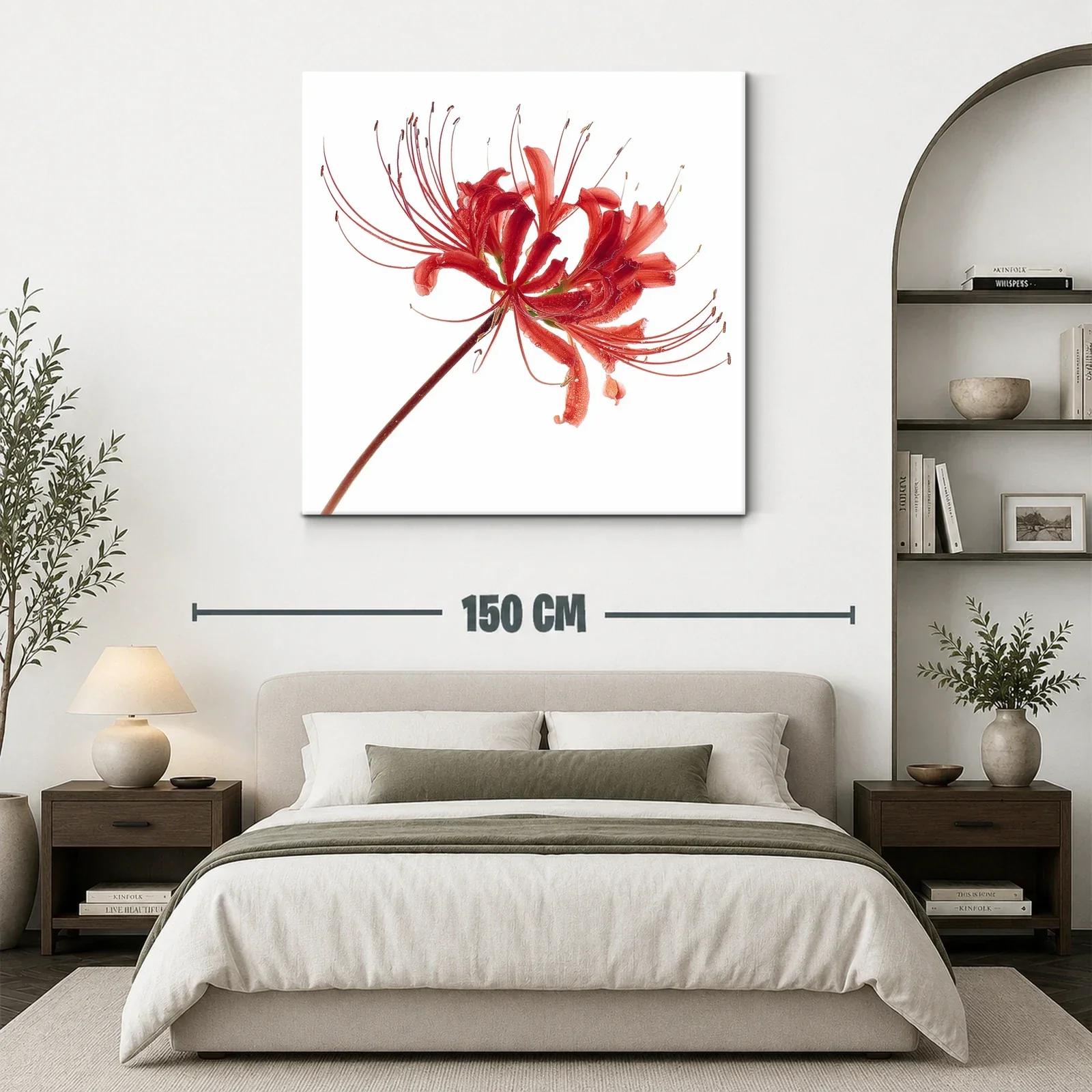 Flor roja elegante con delicados filamentos en blanco — miniatura 3