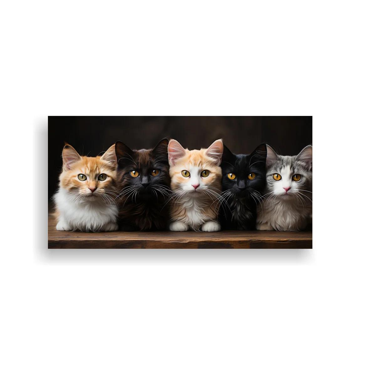 Cuadro cinco gatitos de pelo largo sobre mesa de madera