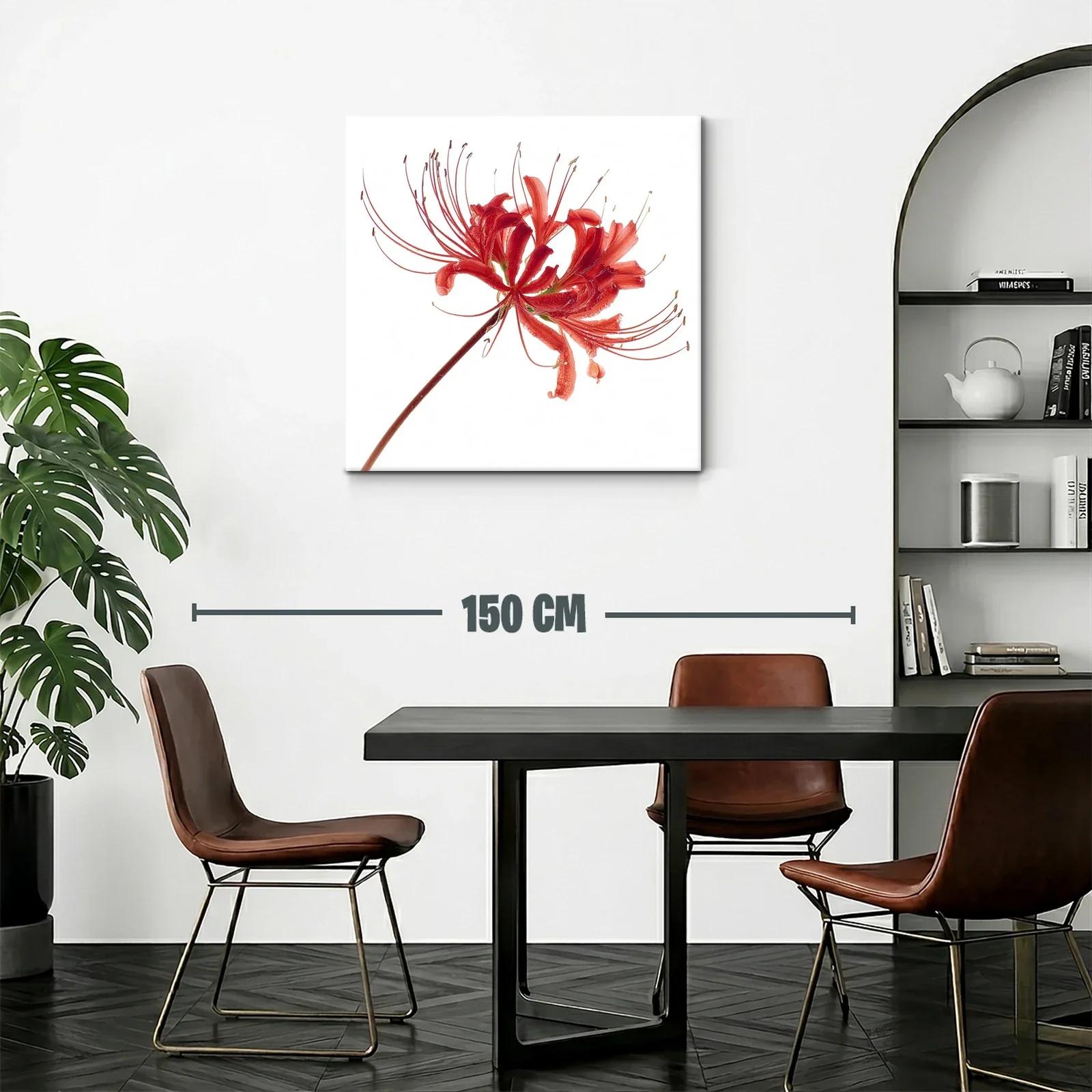Flor roja elegante con delicados filamentos en blanco — miniatura 2