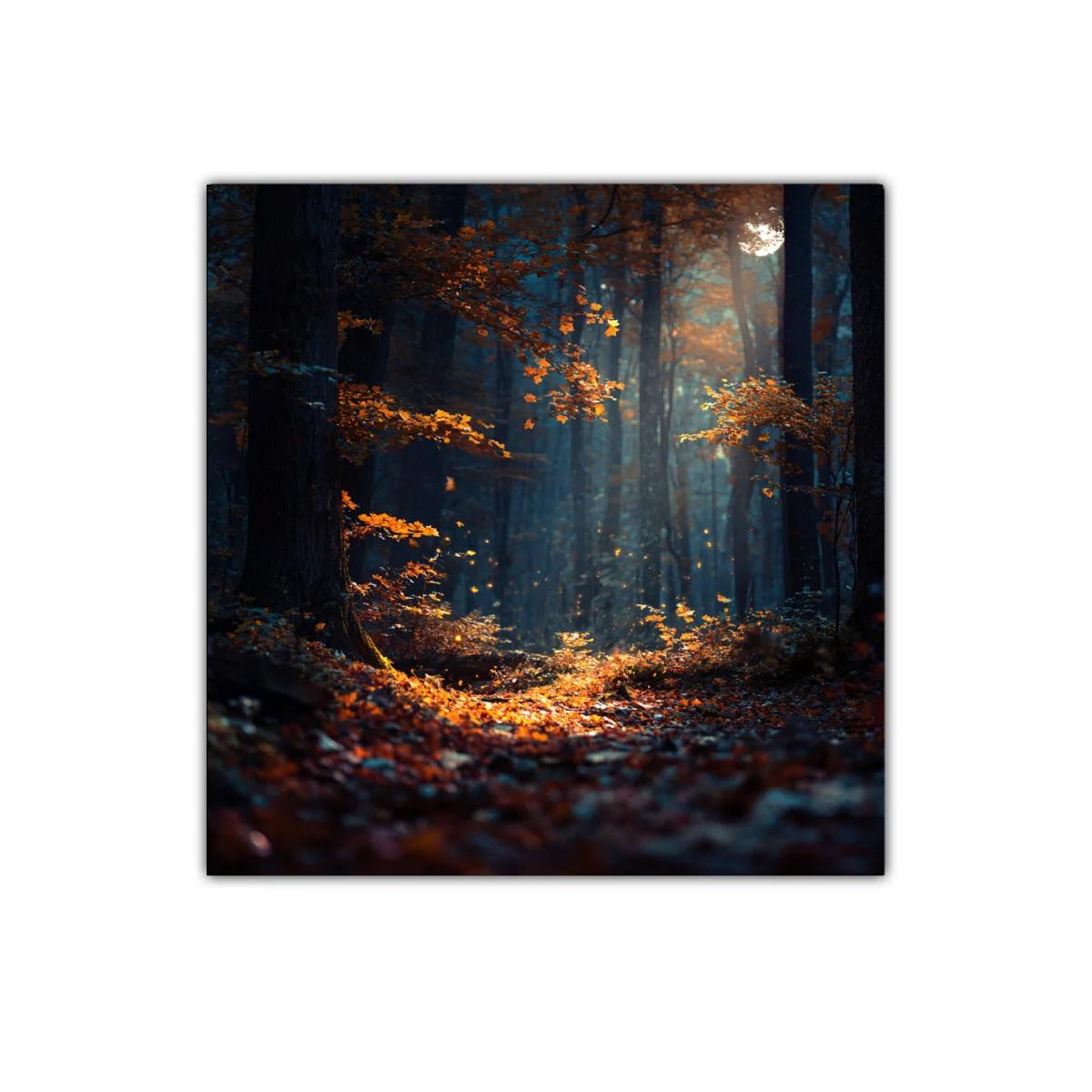 Bosque mágico iluminado entre sombras y hojas otoñales — imagen principal