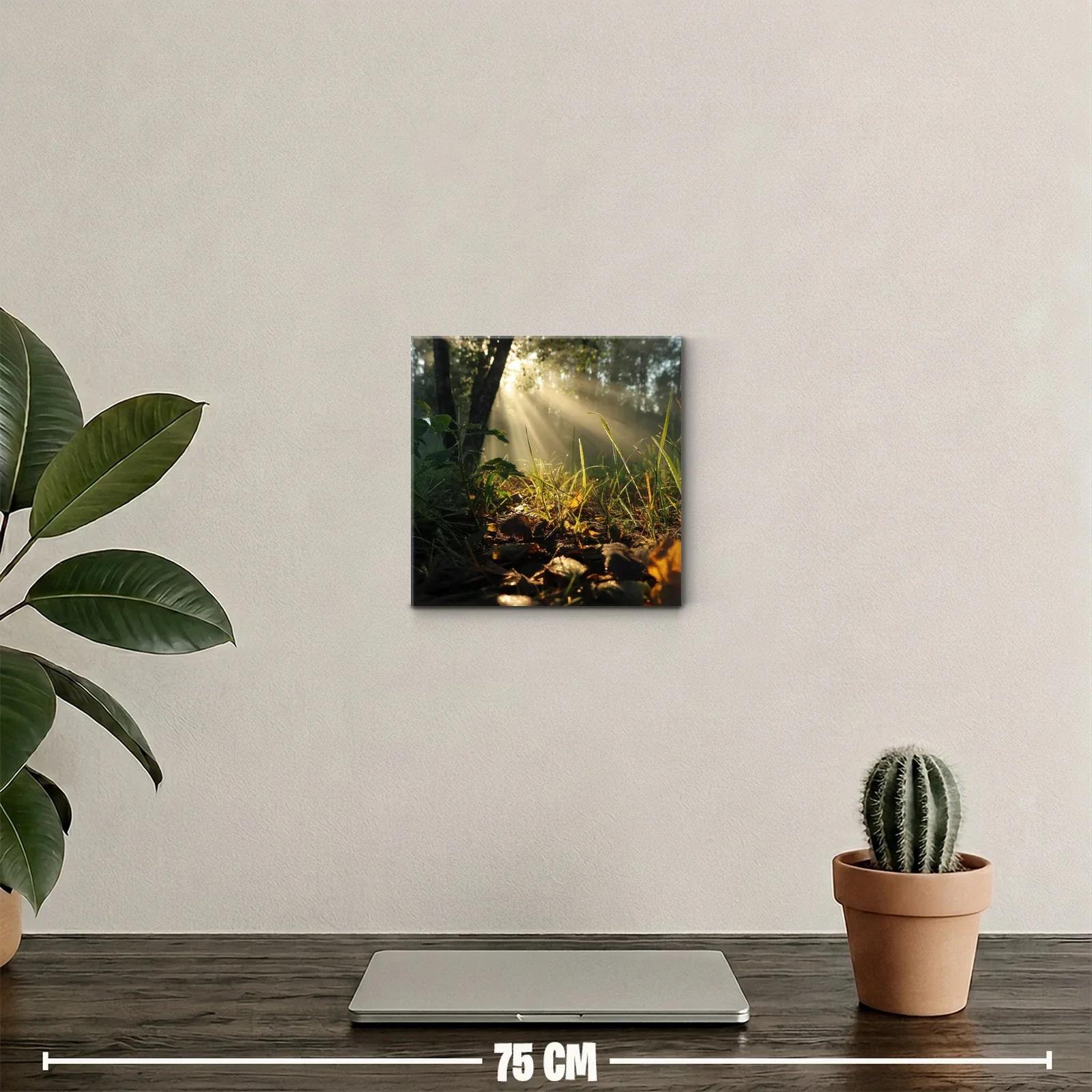 Rayos de sol entre hojas y naturaleza en calma — miniatura 2