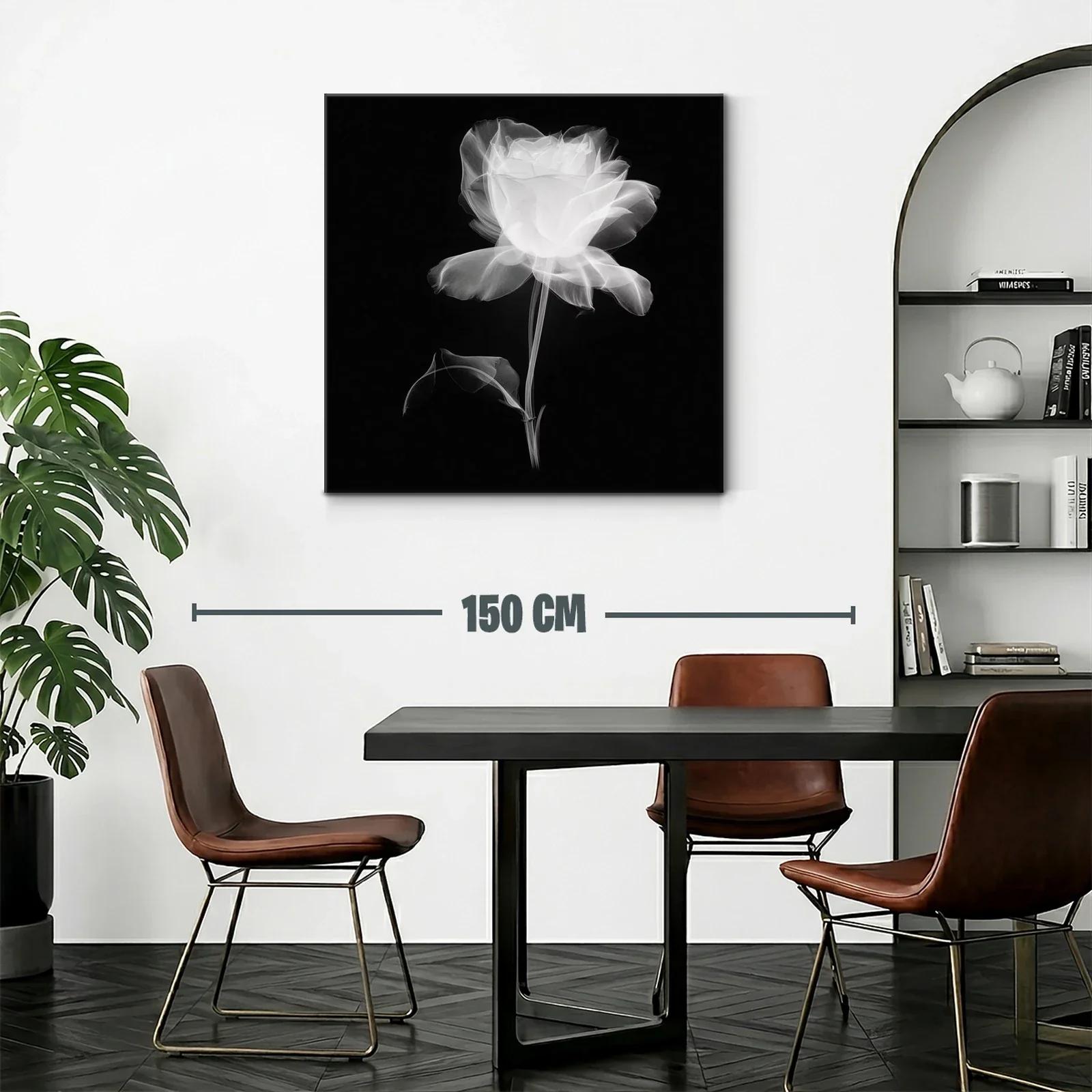Rosa blanca etérea sobre fondo oscuro — miniatura 2
