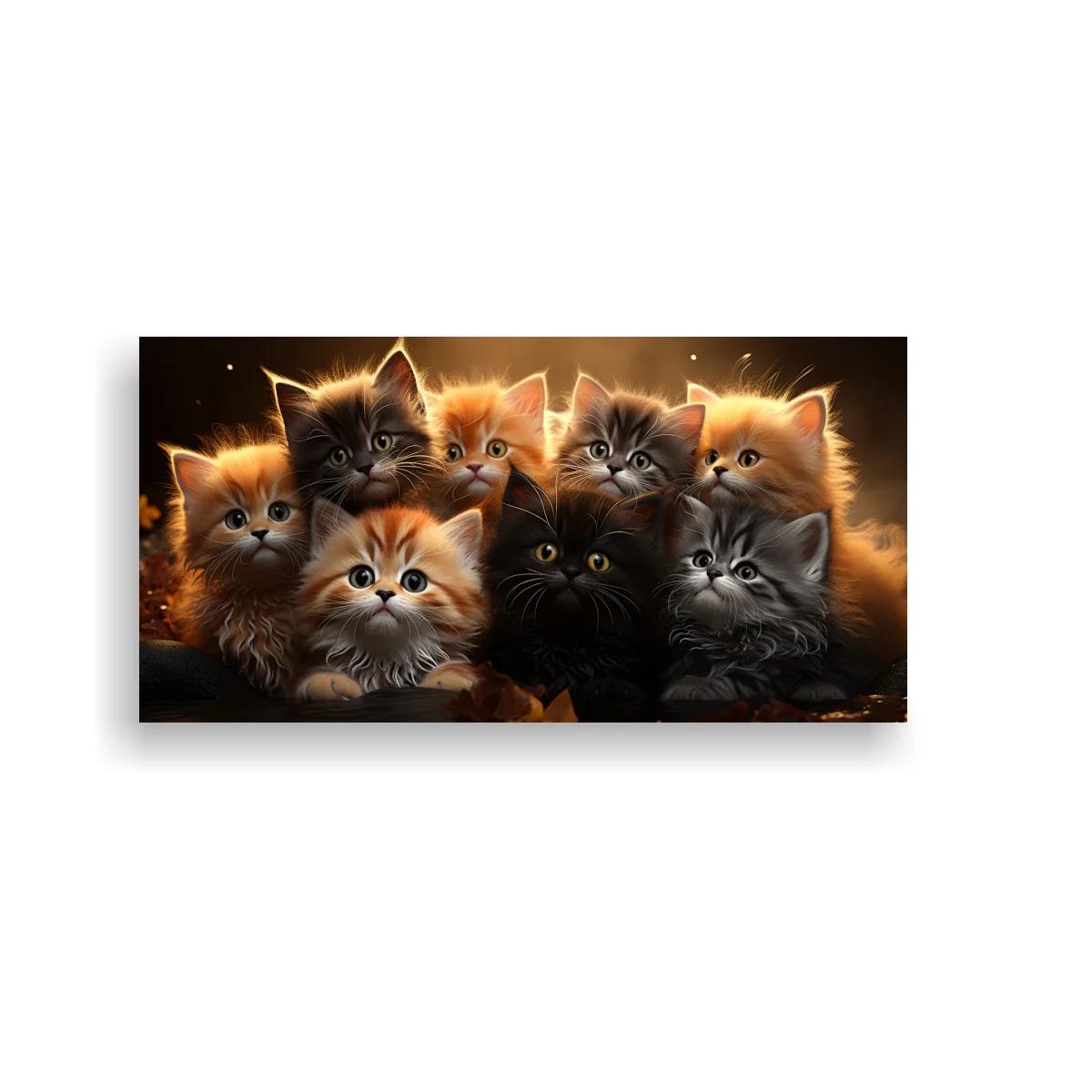 Cuadro grupo de gatitos peludos sobre fondo oscuro — imagen principal