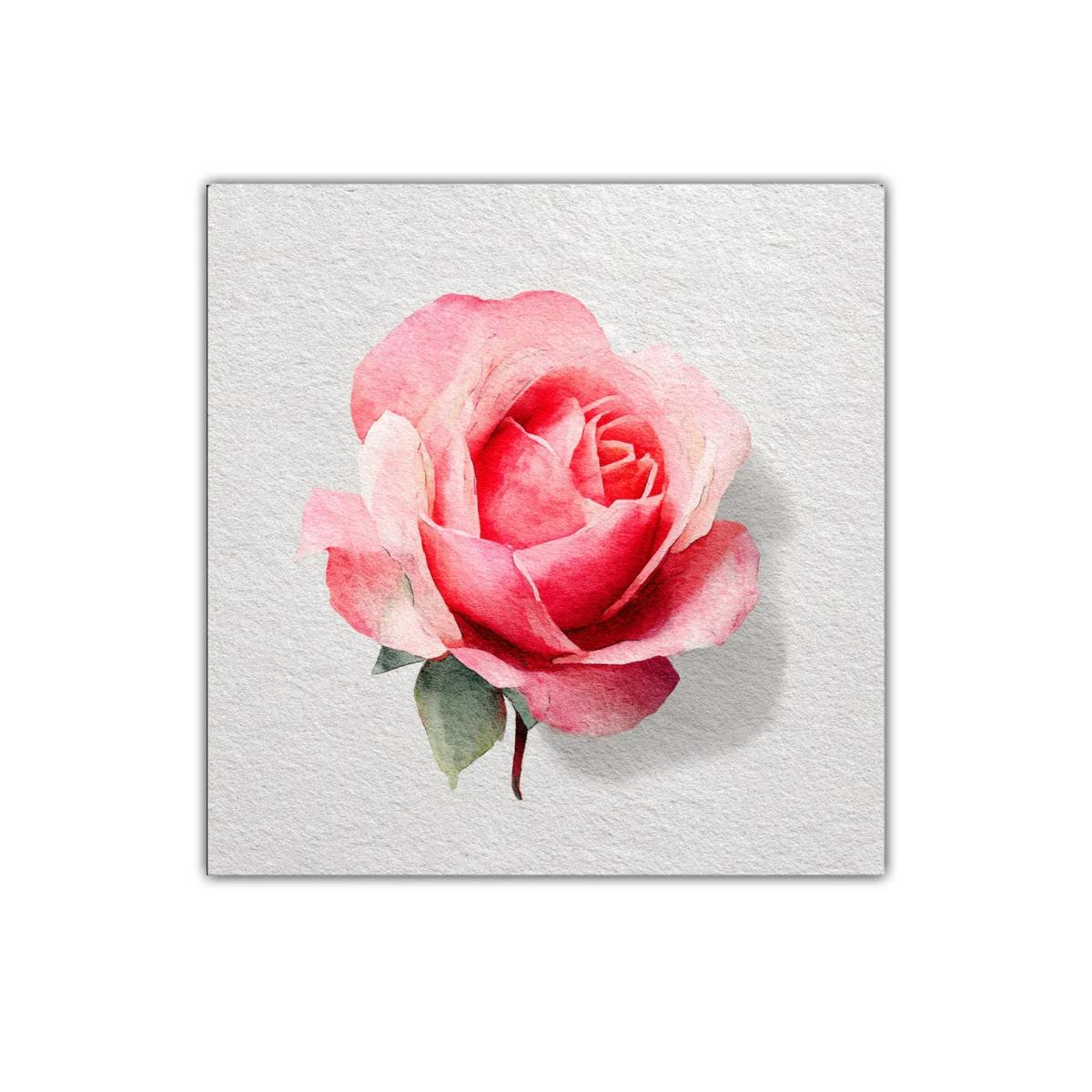 Delicada rosa en tonos rosas y rojos para decorar