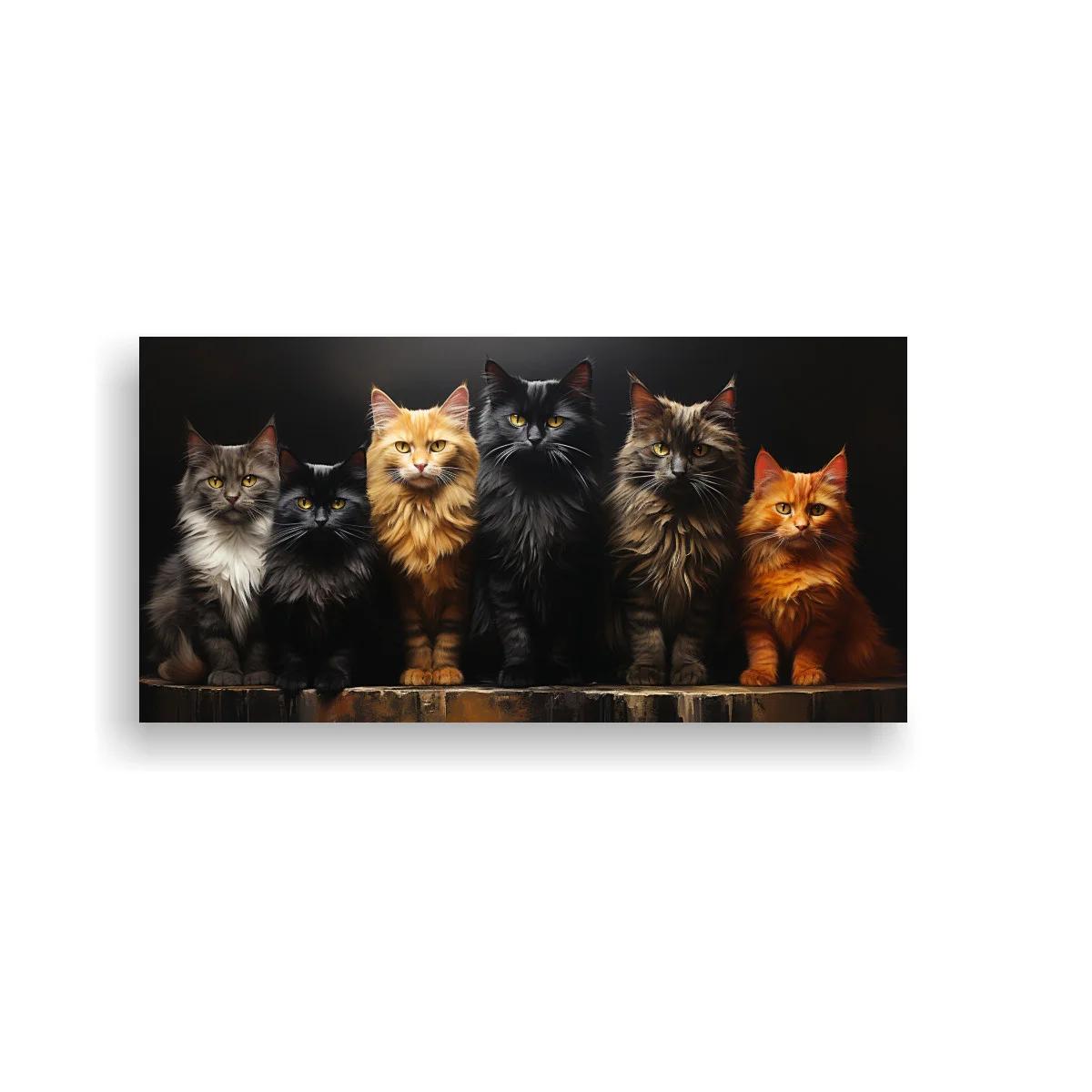 Cuadro grupo de gatos de pelo largo con fondo oscuro
