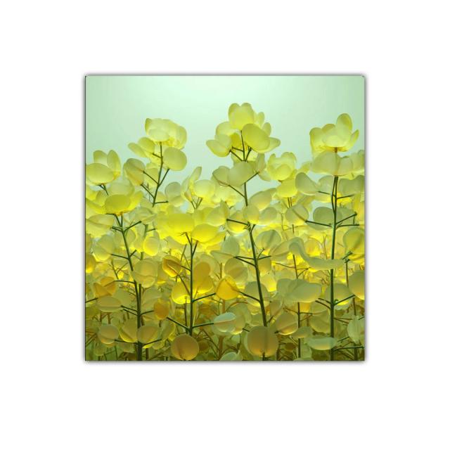 Cuadro decorativo con campo de flores amarillas luminosas