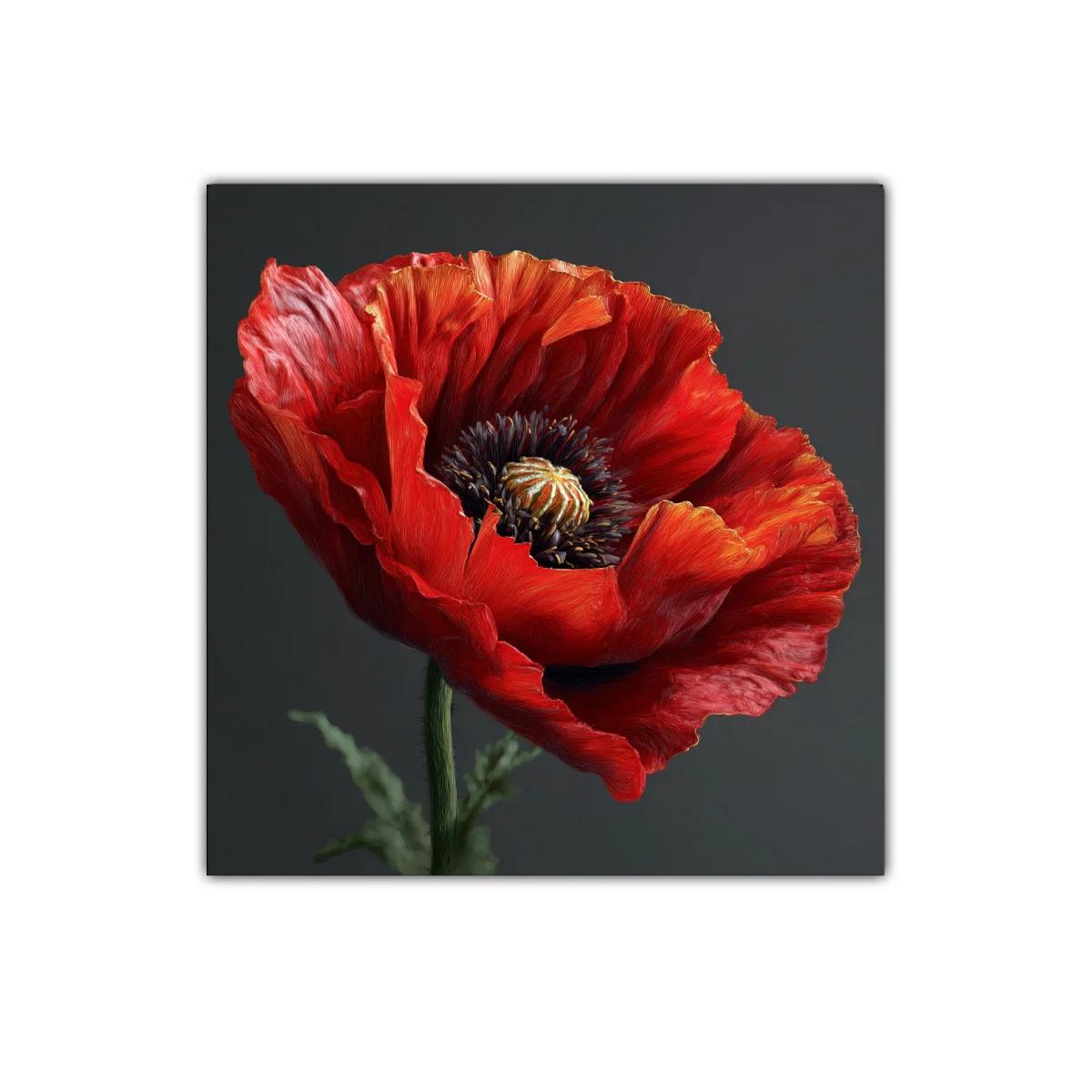 Cuadro decorativo amapola roja con fondo oscuro — imagen principal