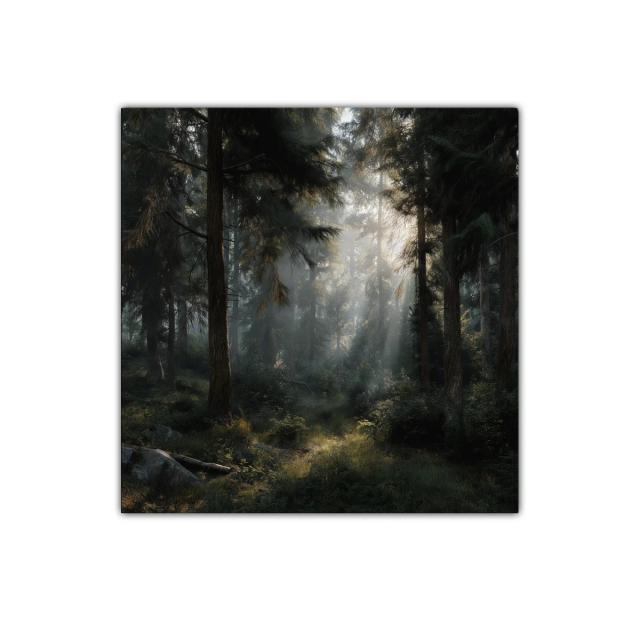 Bosque mágico con luz filtrada y atmósfera serena