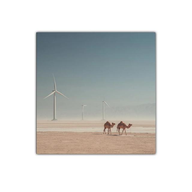 Paisaje Desértico con Camellos y Molinos de Viento