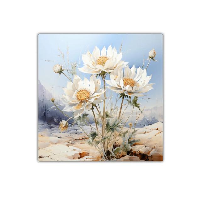 Flores blancas destacando en paisaje árido y sereno