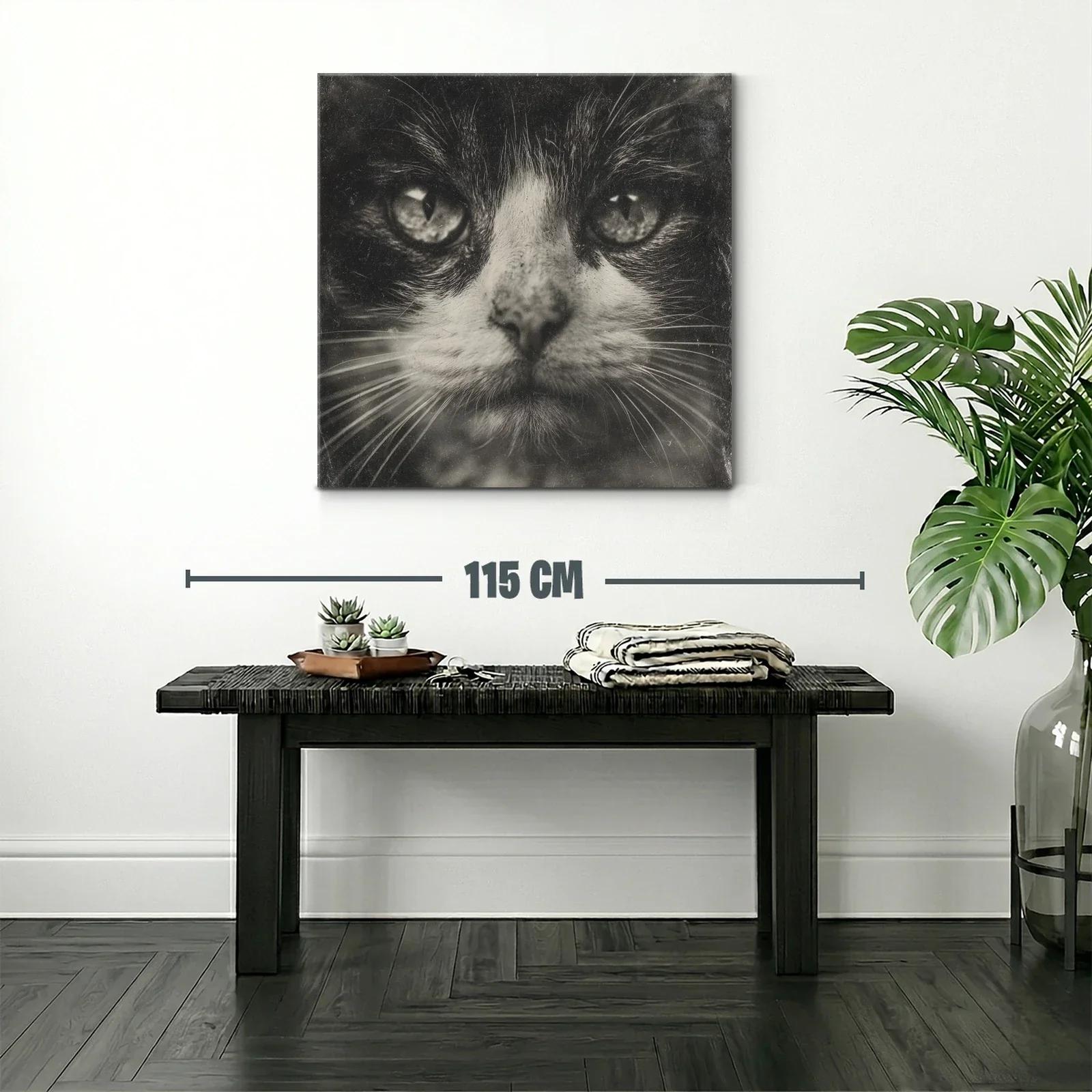 Impactante retrato de gato en tonos monocromáticos — miniatura 2