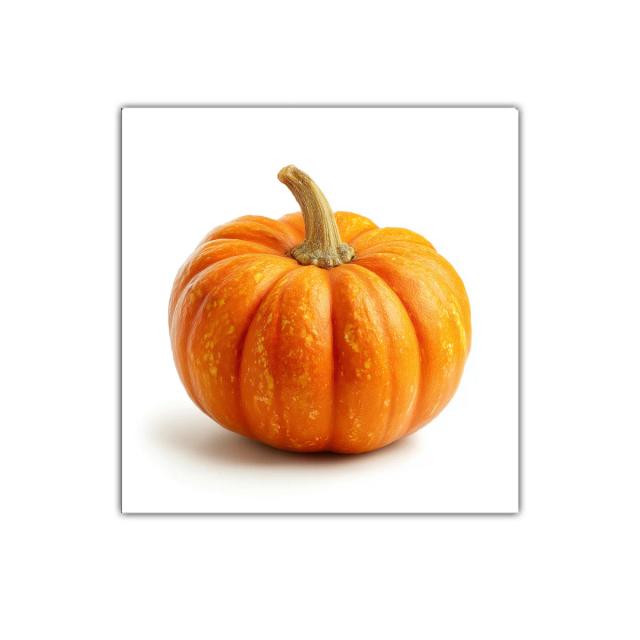 Cuadro decorativo de calabaza vibrante y natural