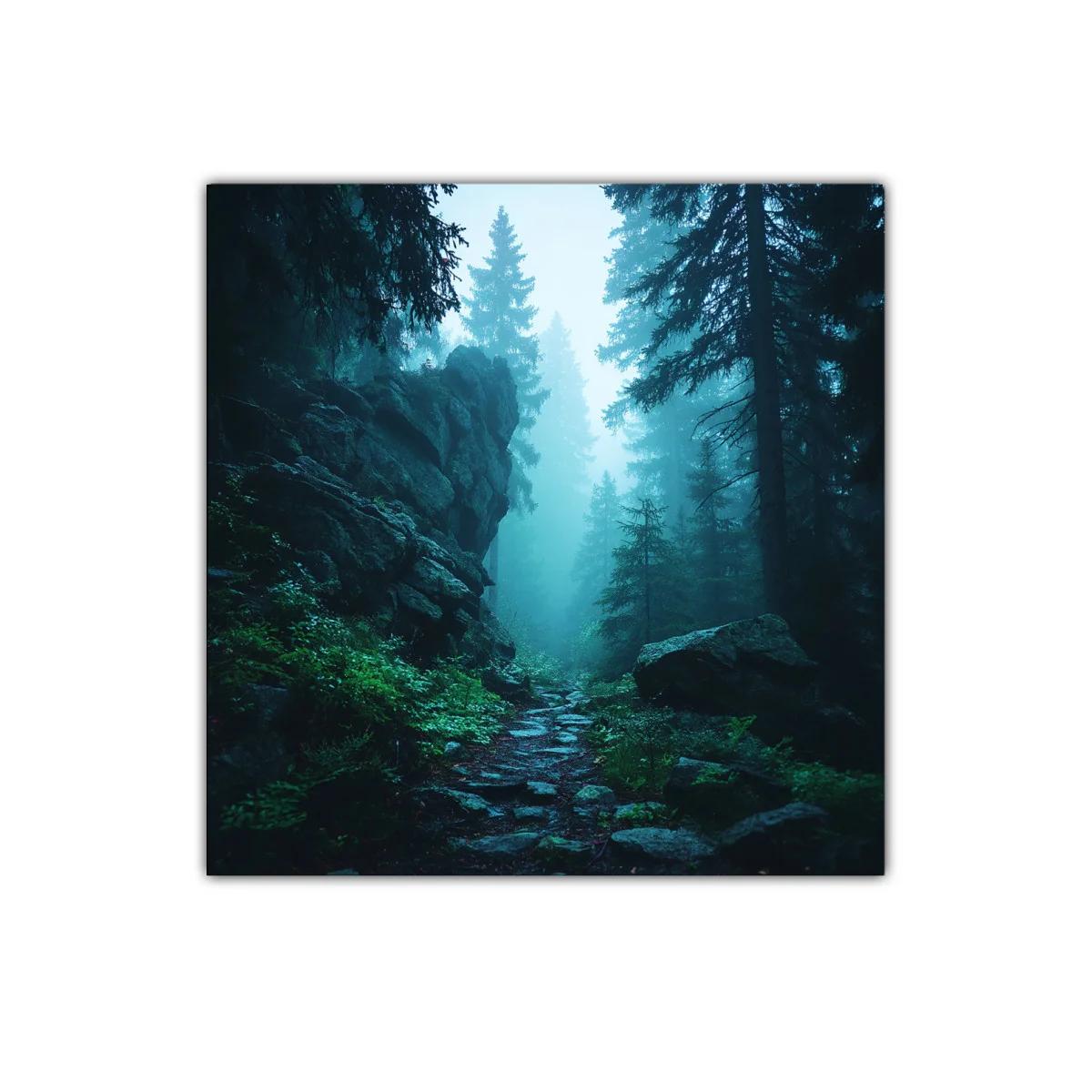 Camino entre árboles y rocas en bosque de niebla azulada — imagen principal