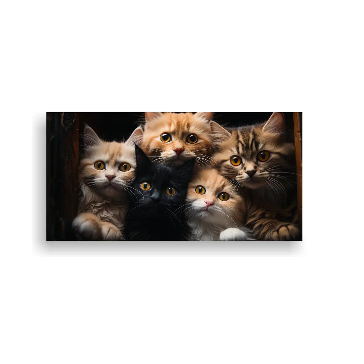 Cuadro cinco gatos de pelaje largo asomados en un marco oscuro