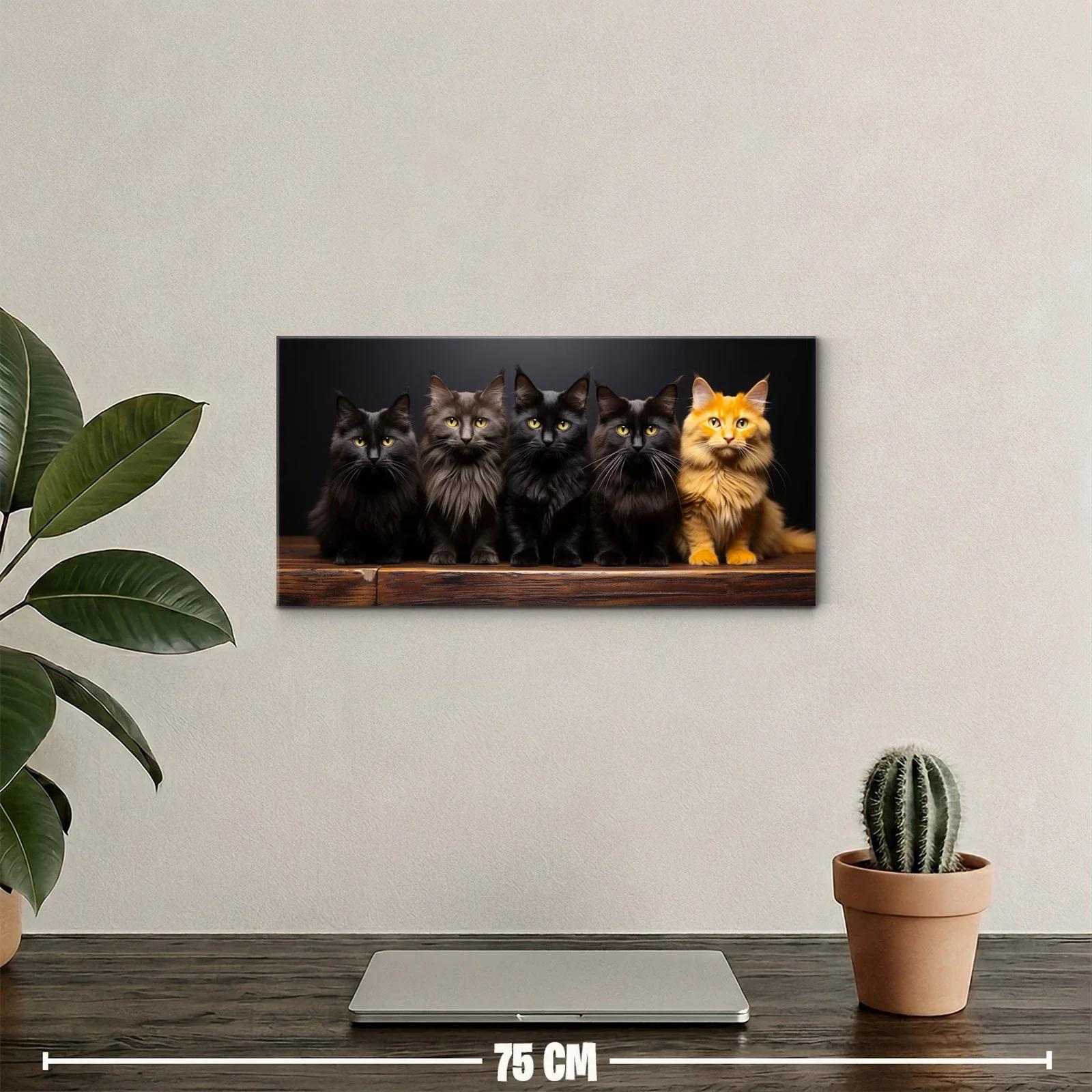Cuadro grupo de cinco gatos peludos con fondo oscuro — miniatura 2