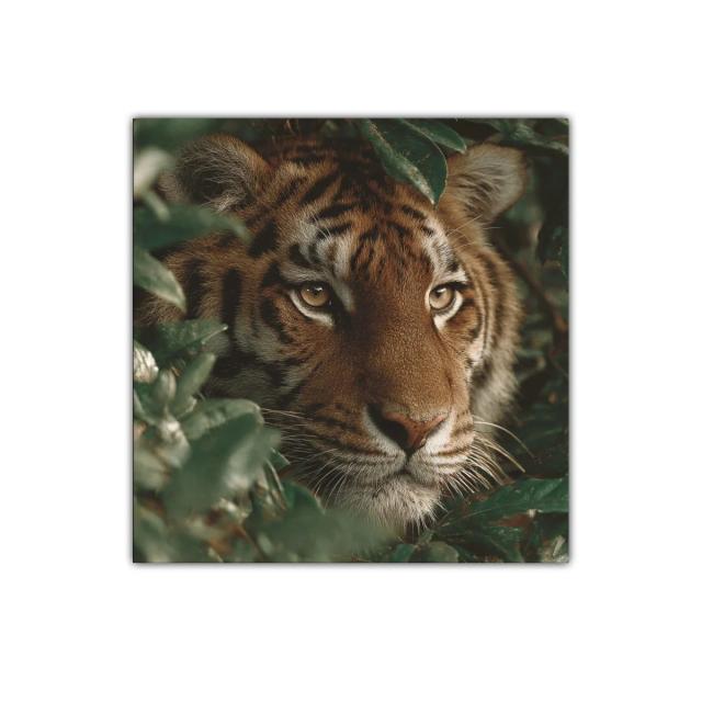 Mirada intensa de tigre entre follaje verde