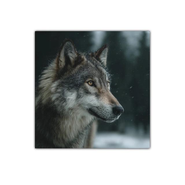 Retrato de lobo en ambiente invernal con mirada intensa