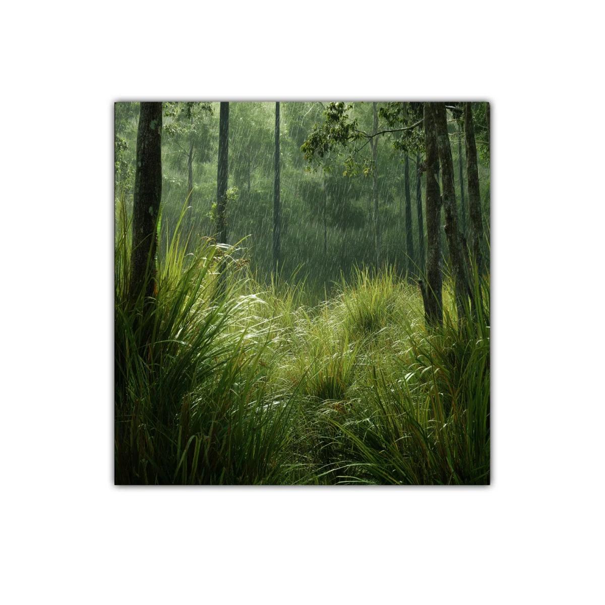 Bosque bajo la lluvia con vegetación luminosa y fresca