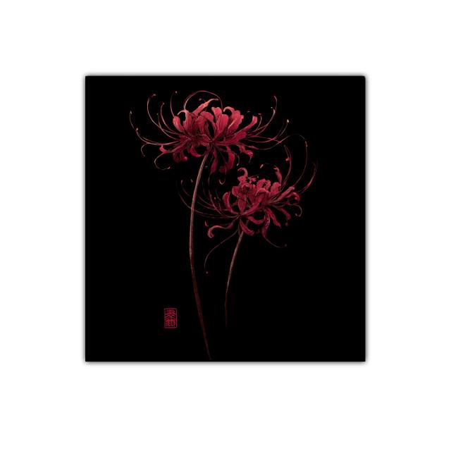 Flor roja sobre fondo negro en diseño elegante y delicado