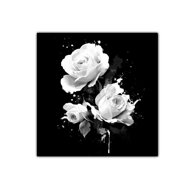 Elegancia floral en rosas blancas sobre fondo negro