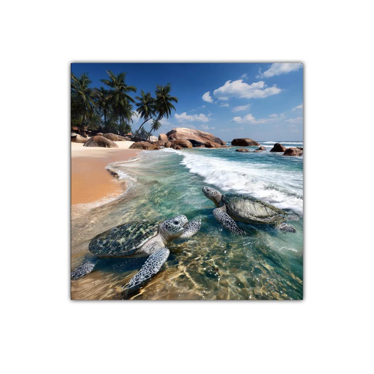Tortugas en playa tropical bajo cielo despejado