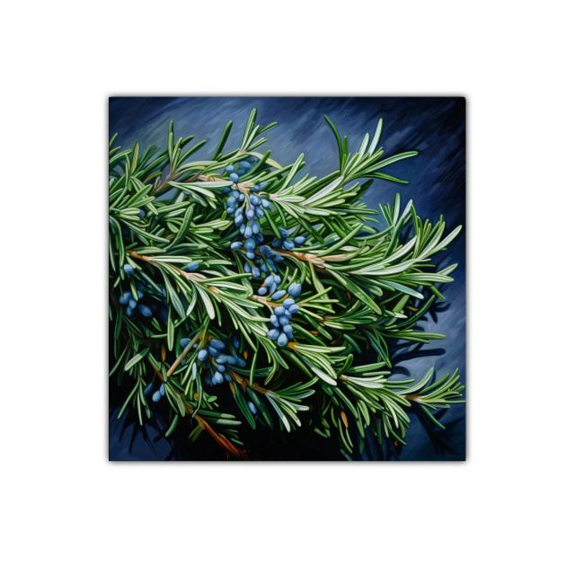 Ramas de plantas verdes con frutos azules en contraste oscuro