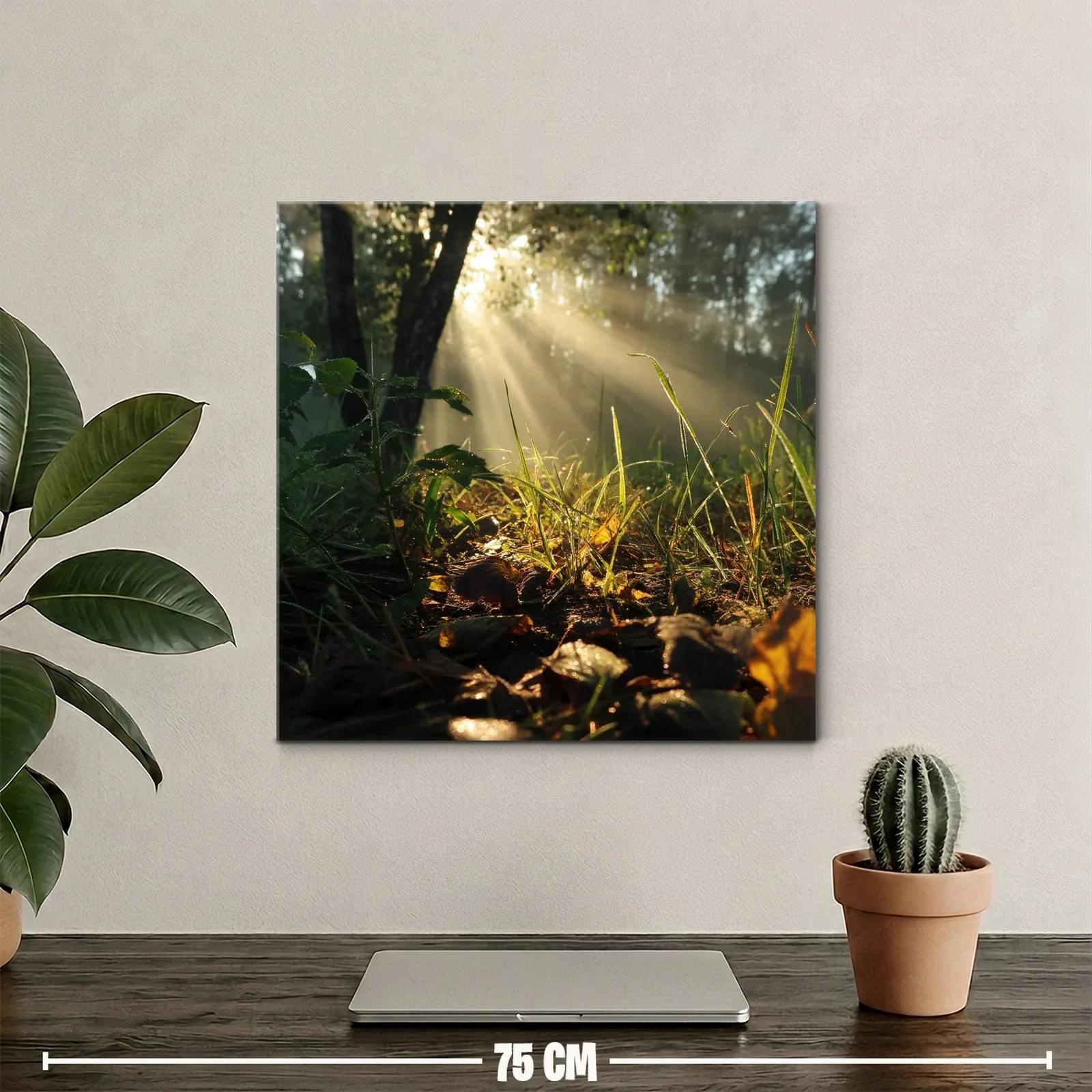 Rayos de sol entre hojas y naturaleza en calma — miniatura 2