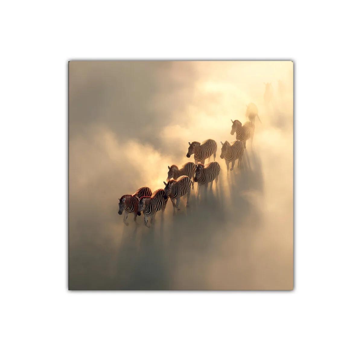 Cuadro de cebras en la niebla dorada al amanecer