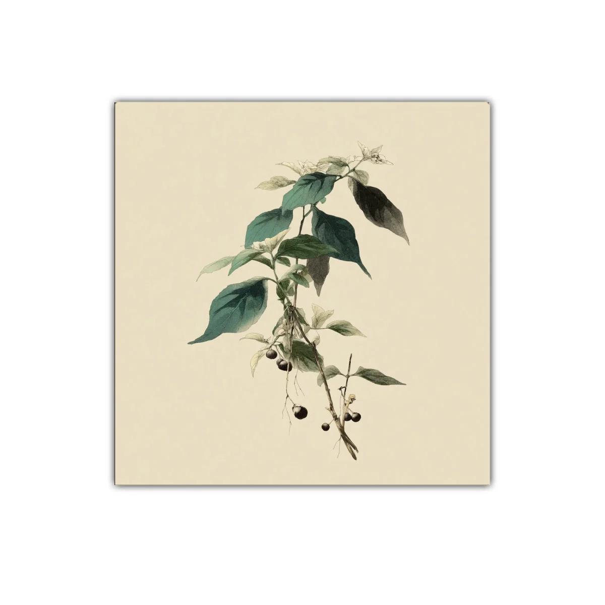 Cuadro decorativo planta con frutos en tonos verdes y neutros
