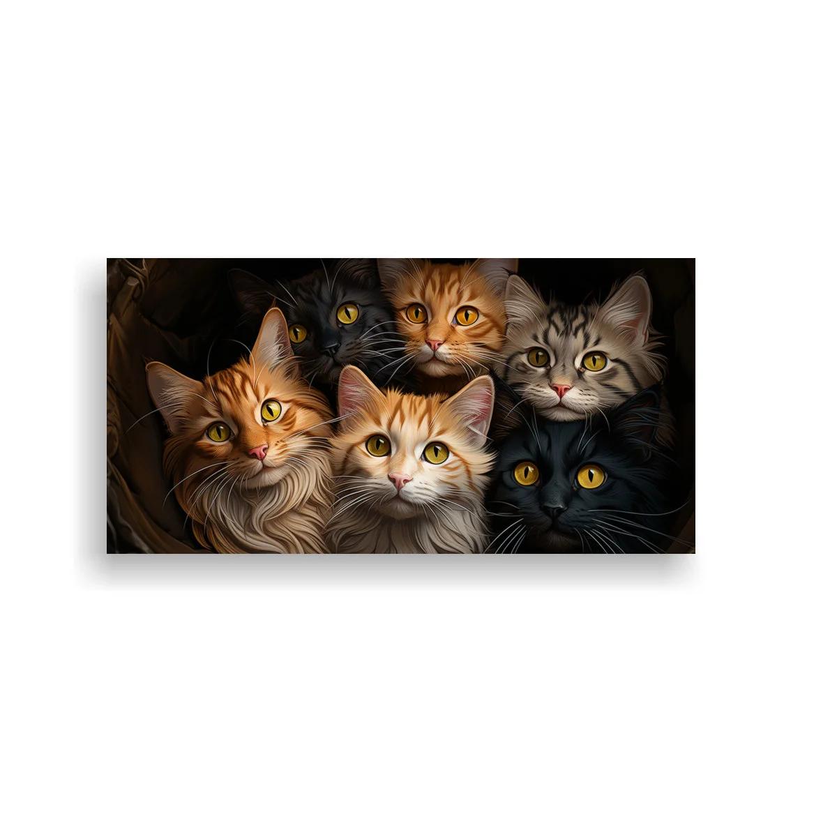 Cuadro grupo de gatos de pelo largo sobre fondo oscuro