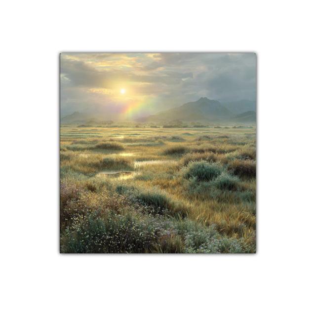 Paisaje de pradera al amanecer con luz dorada y arcoíris