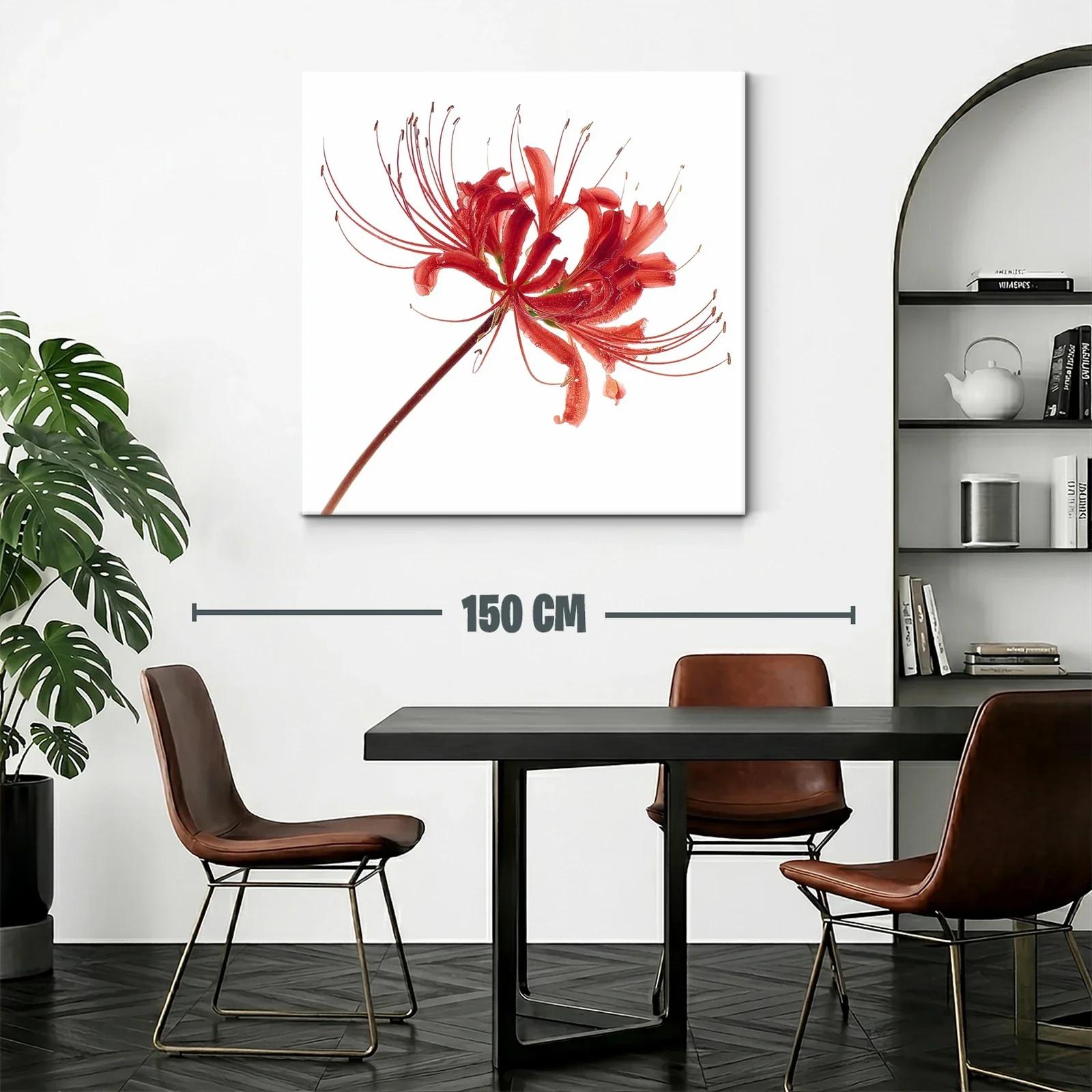 Flor roja elegante con delicados filamentos en blanco — miniatura 2