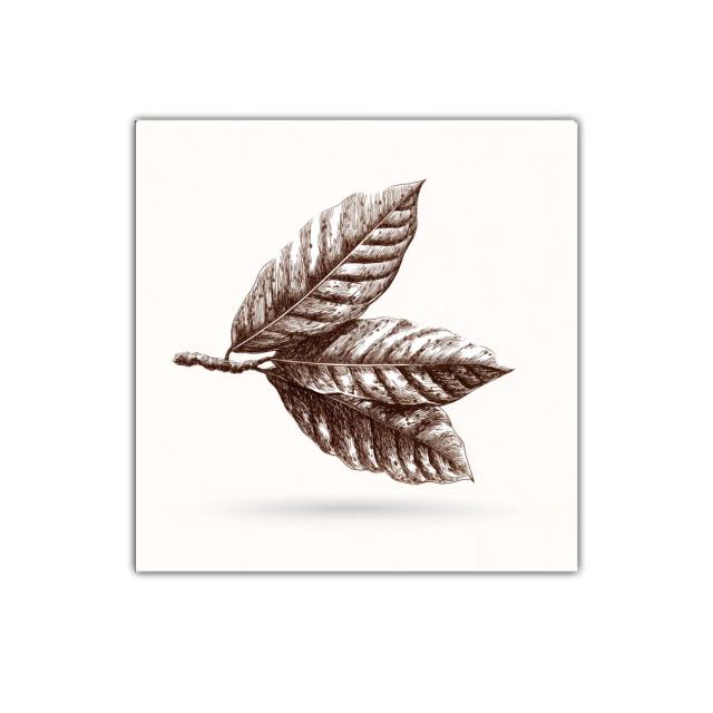 Elegante dibujo botánico de hojas en tonos sepia