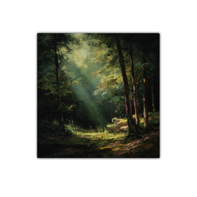 Bosque iluminado con rayos de luz natural