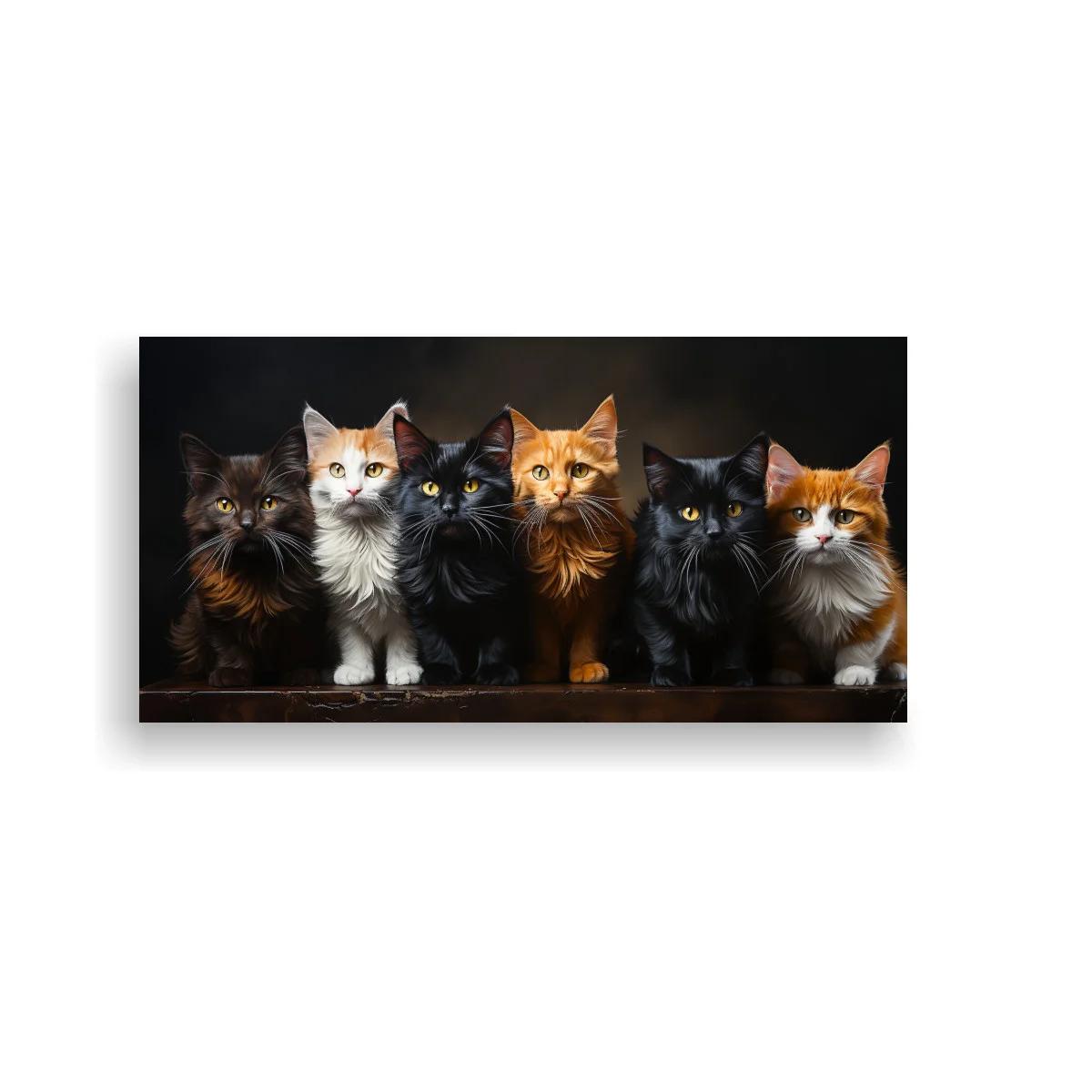 Cuadro grupo de gatos de pelo largo en tonos oscuros
