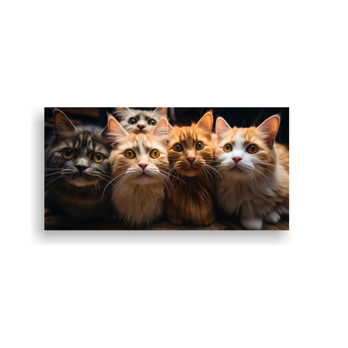 Cuadro cuatro gatos de pelo largo alineados