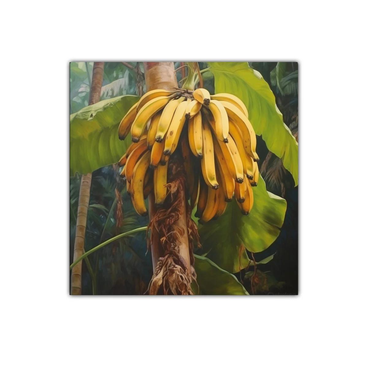 Racimo de plátanos colgando en un entorno selvático — imagen principal