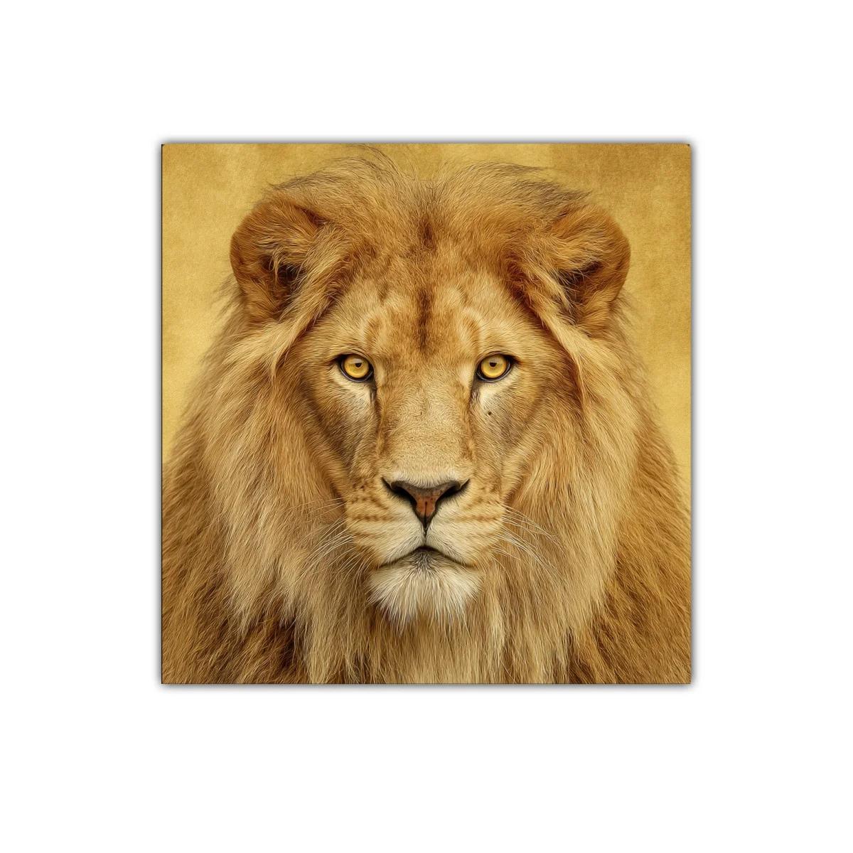 Retrato imponente de león con melena dorada y mirada fija — imagen principal