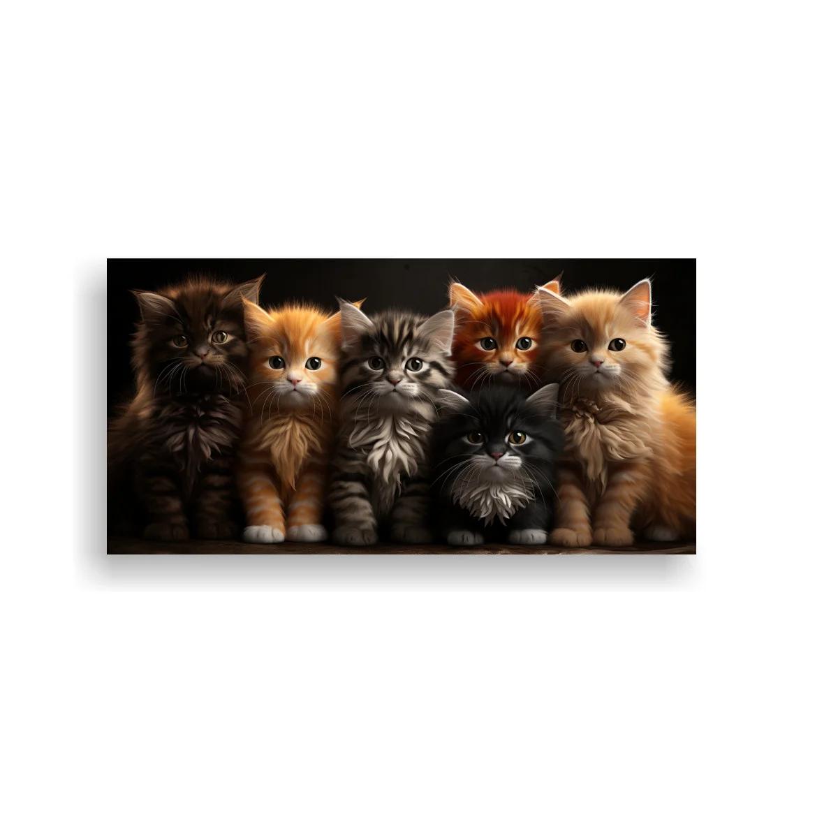 Cuadro seis gatitos peludos con fondo negro y luz cálida