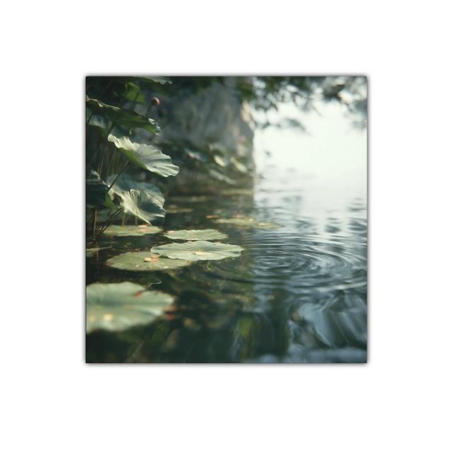 Tranquilidad natural con hojas acuáticas en calma