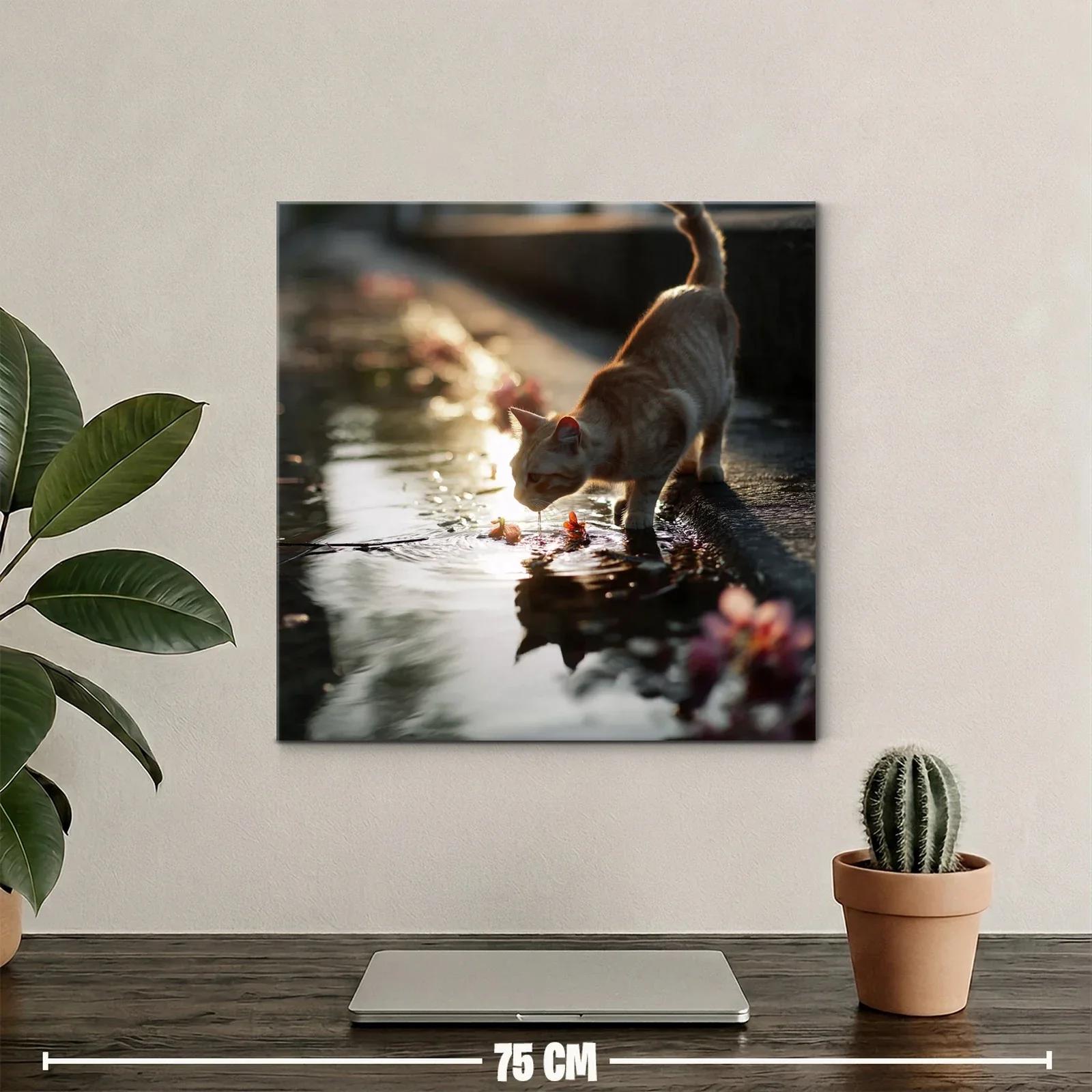 Gato bebiendo en charco con luz de atardecer — miniatura 2