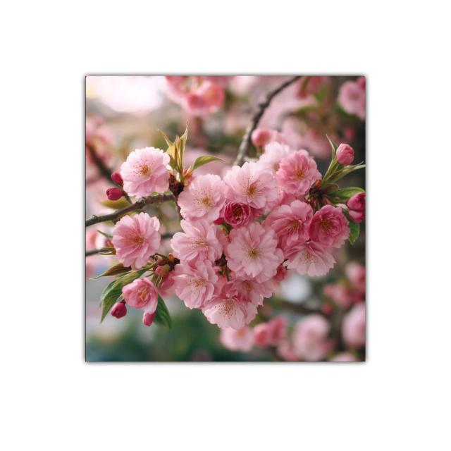 Ramo de flores rosas en plena primavera