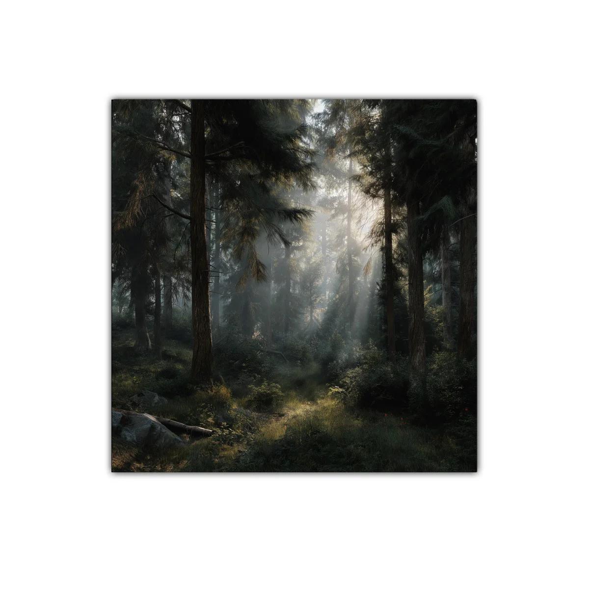 Bosque mágico con luz filtrada y atmósfera serena — imagen principal